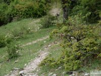 2026-05-11 Traversata dei Lucretili 109